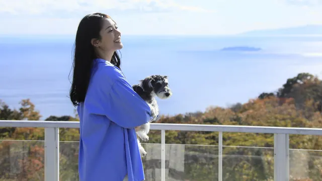 ゆるり熱海withDOGSのテラスからの眺め