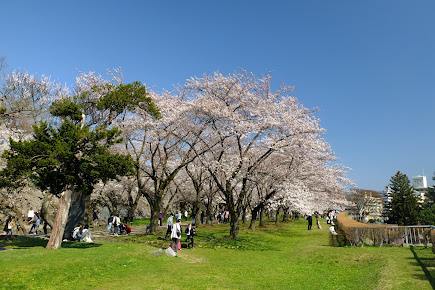 盛岡城の写真