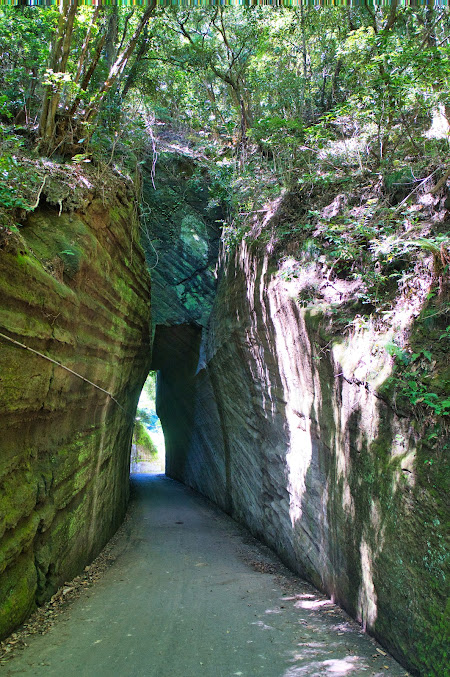 燈籠坂大師・竹岡の写真