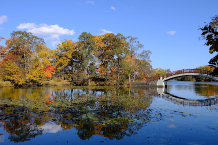大沼国定公園の写真