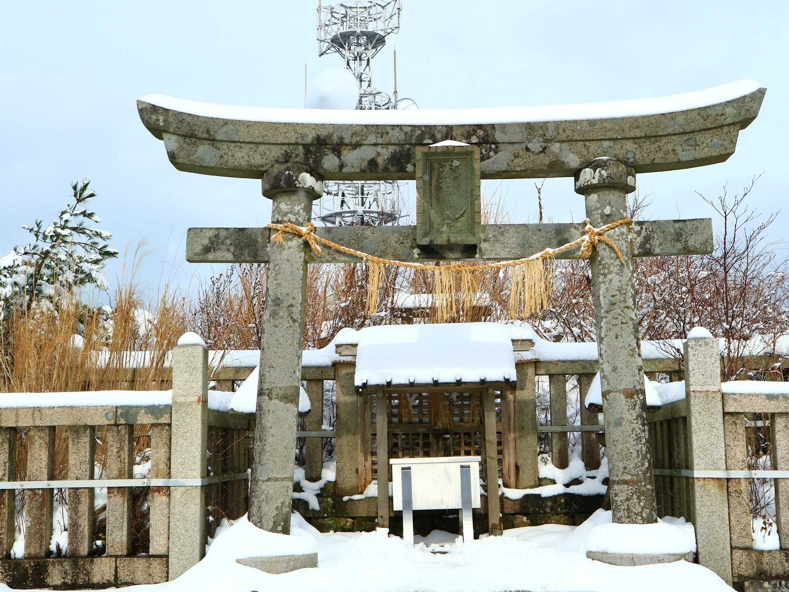 弥彦神社の写真