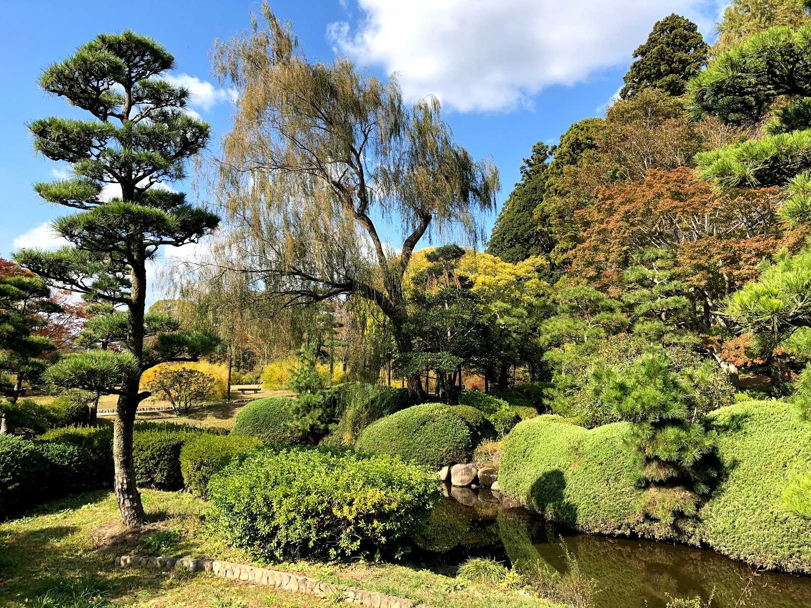 偕楽園の写真
