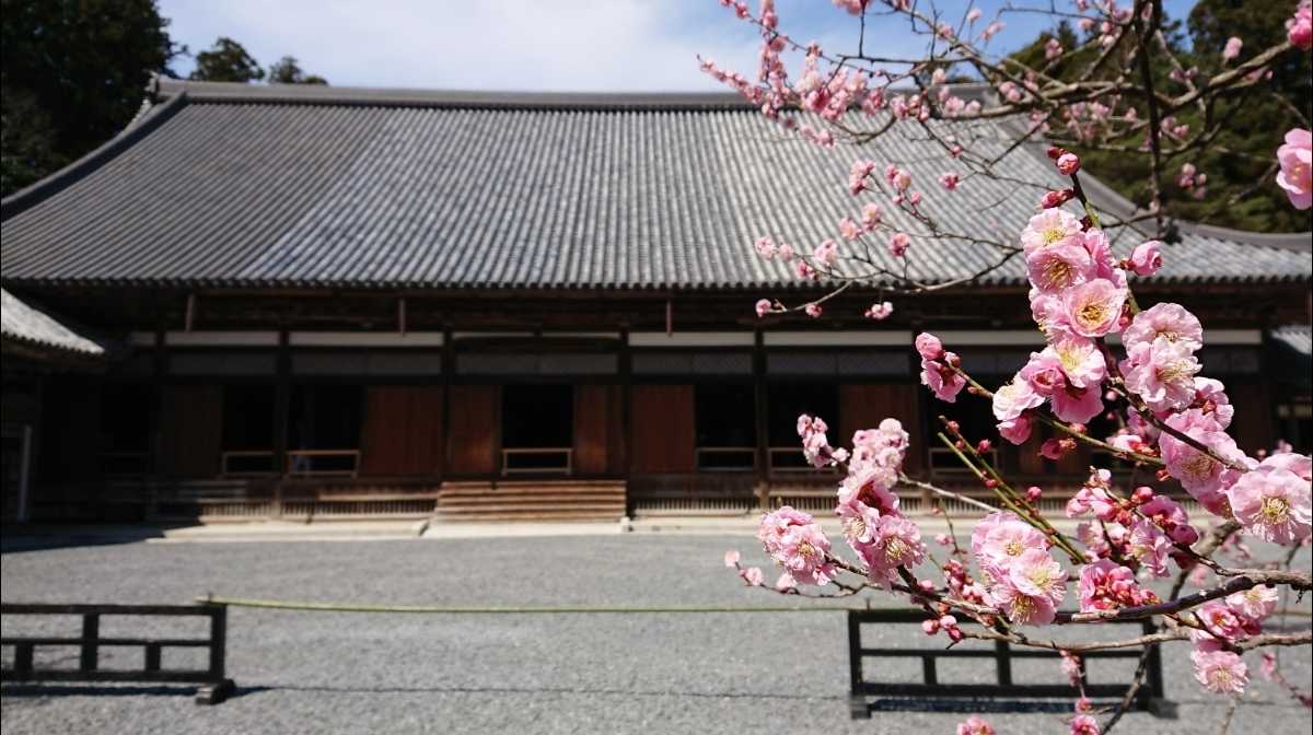 松島・瑞巌寺の写真